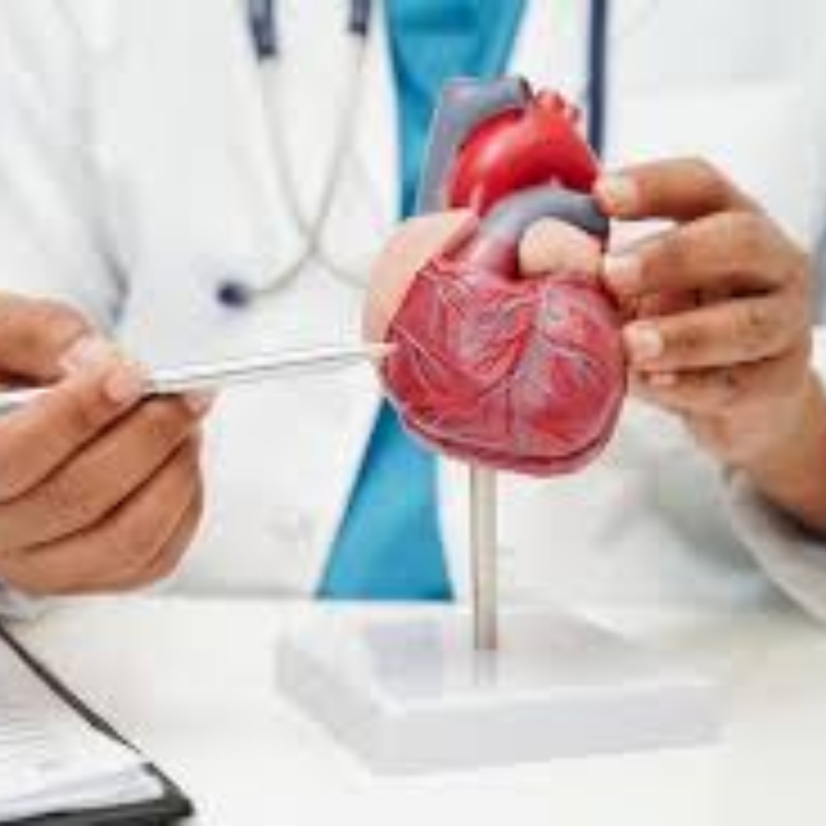 أخصائي أمراض القلب