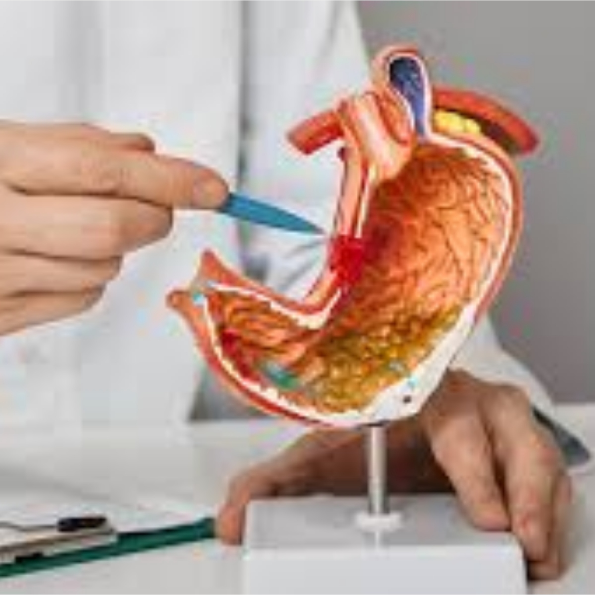 أخصائي الجهاز الهضمي